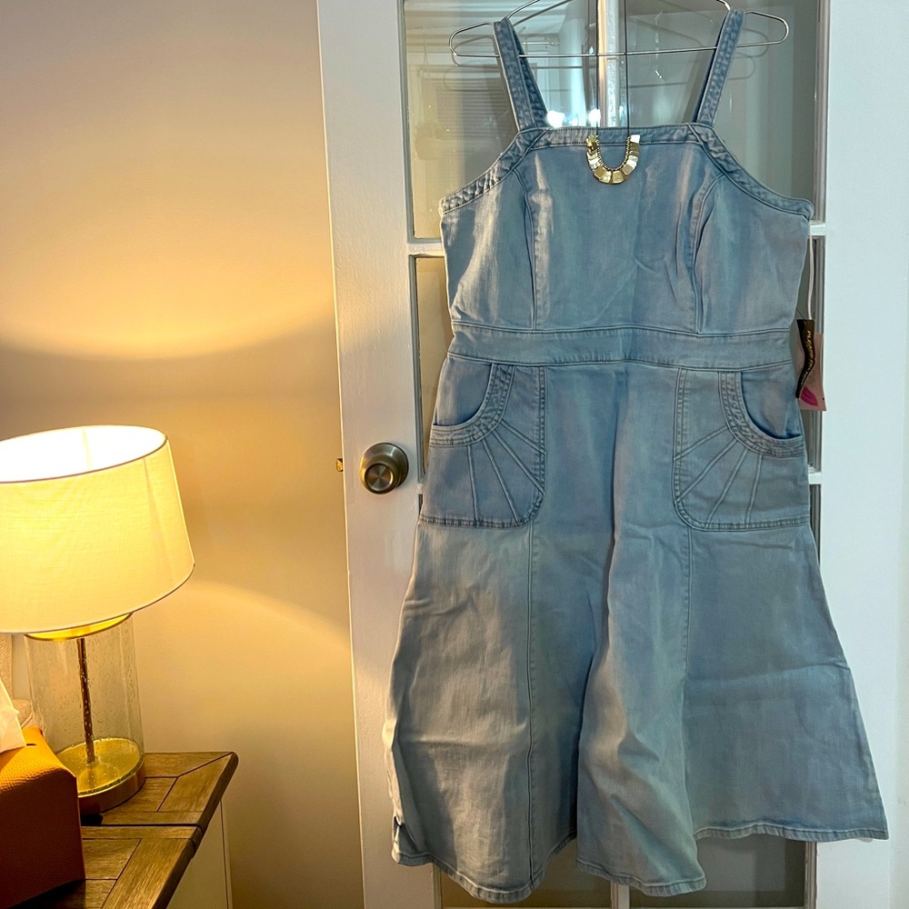 Eva Mendes Denim Dress